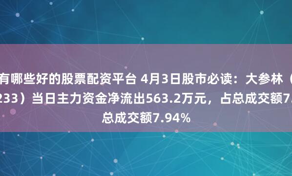 有哪些好的股票配资平台 4月3日股市必读：大参林（603233）当日主力资金净流出563.2万元，占总成交额7.94%