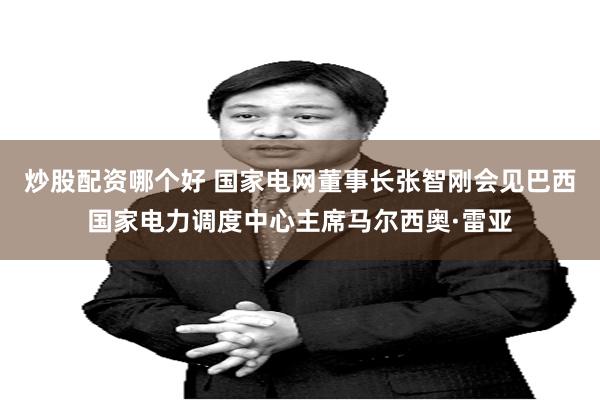 炒股配资哪个好 国家电网董事长张智刚会见巴西国家电力调度中心主席马尔西奥·雷亚
