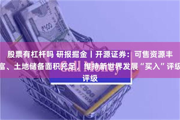 股票有杠杆吗 研报掘金丨开源证券：可售资源丰富、土地储备面积充足，维持新世界发展“买入”评级