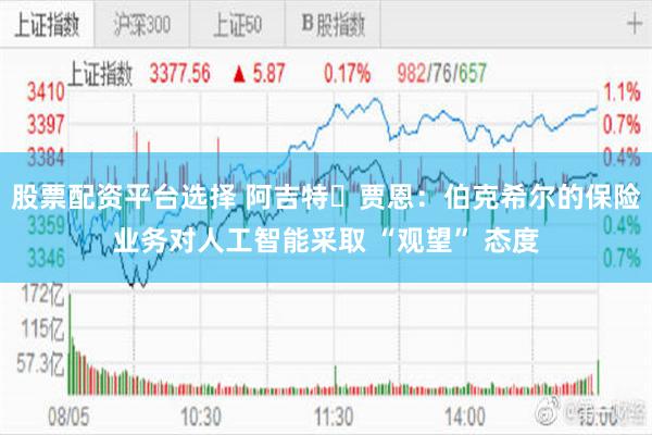 股票配资平台选择 阿吉特・贾恩：伯克希尔的保险业务对人工智能采取 “观望” 态度