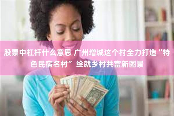 股票中杠杆什么意思 广州增城这个村全力打造“特色民宿名村” 绘就乡村共富新图景