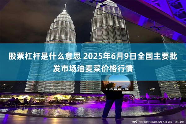 股票杠杆是什么意思 2025年6月9日全国主要批发市场油麦菜价格行情