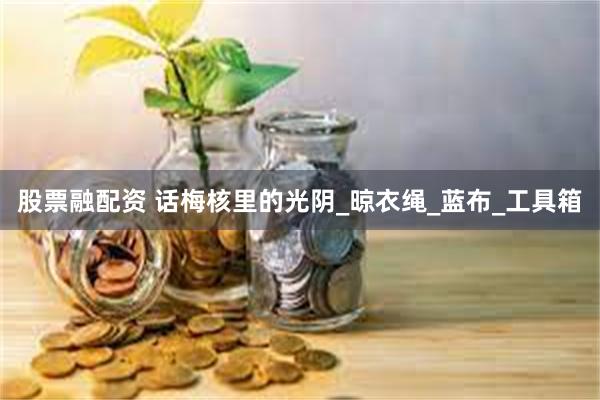 股票融配资 话梅核里的光阴_晾衣绳_蓝布_工具箱
