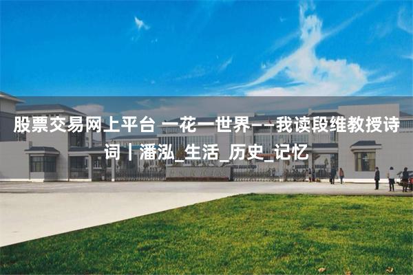 股票交易网上平台 一花一世界——我读段维教授诗词｜潘泓_生活_历史_记忆