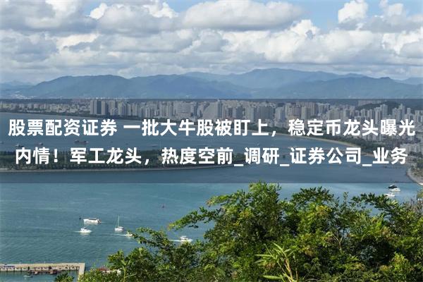 股票配资证券 一批大牛股被盯上，稳定币龙头曝光内情！军工龙头，热度空前_调研_证券公司_业务